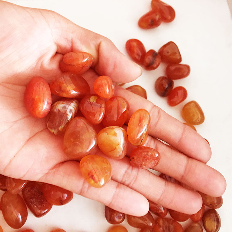 Carnelian Rough Stones-Natural Orange Crystal Decor – LumaNest